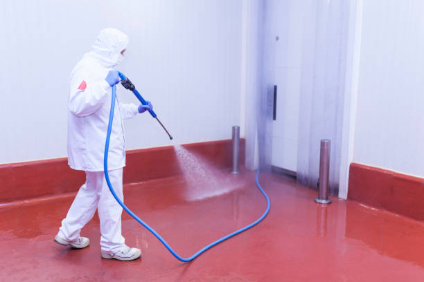 Best Warehouse Cleaning  in Pleasantville, IA